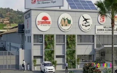 Court of Appeal Halts Bank of Baroda Asset Sale, Granting Shumuk Industries Vital Shield to Pursue Substantive Appeal