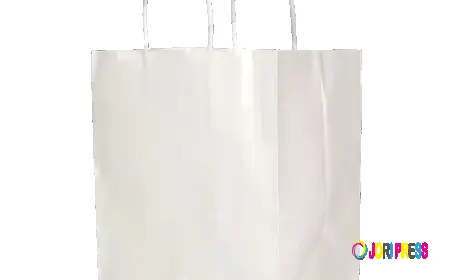 2026 Top 5 Eco-Friendly Paper Gift Bag Suppliers for Sellers