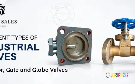 Different Types of Industrial Valves: Radiator, Gate and Globe Valves