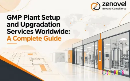 GMP Plant Setup and Upgradation Services Worldwide: A Complete Guide