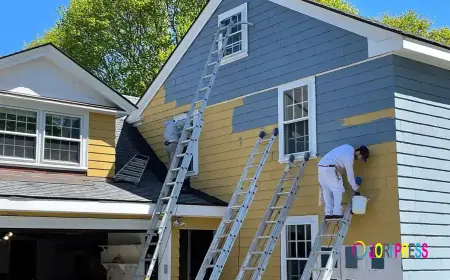 Professional Painter in Wollongong Highlights Quality Painting Solutions for Homes and Businesses