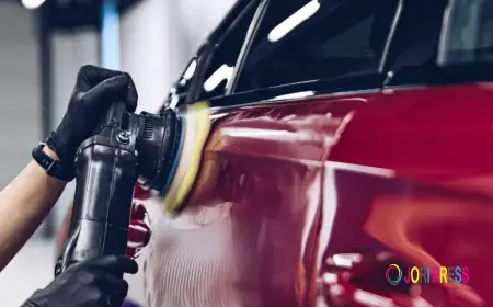 Safari Autos: Professional Car Repairs, Bodywork and Vehicle Maintenance in Thornton Heath
