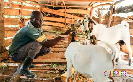 New Horizons: How Local Economic Factory and Farm Reforms Are Changing Lives in Jinja, Bugiri