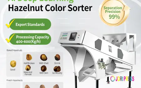 Top 8 Hazelnut Color Sorter Manufacturers to Know in 2026