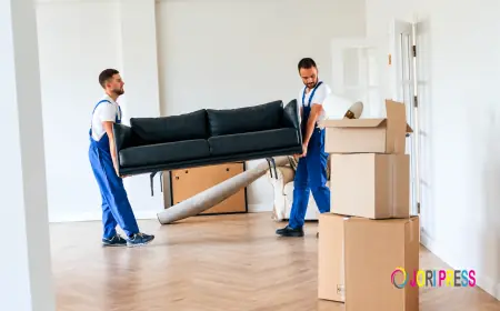 Is Hiring Professional House Movers Worth the Money?