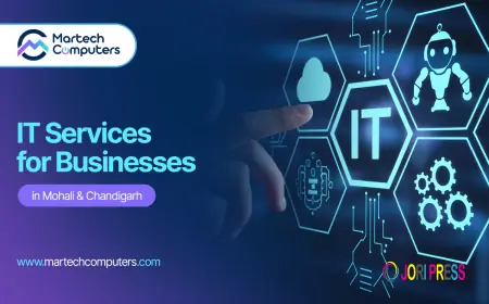 Business IT Solutions in Panchkula | Managed IT, Cybersecurity & Cloud