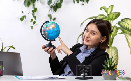 Prisms Education Highlights the Growing Importance of Professional Visa and Education Services in Sydney