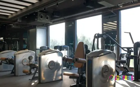 True Elevate Offers Fitness Recovery Services at Its Panchkula Gym