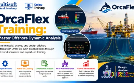 OrcaFlex Training: Master Offshore Dynamic Analysis