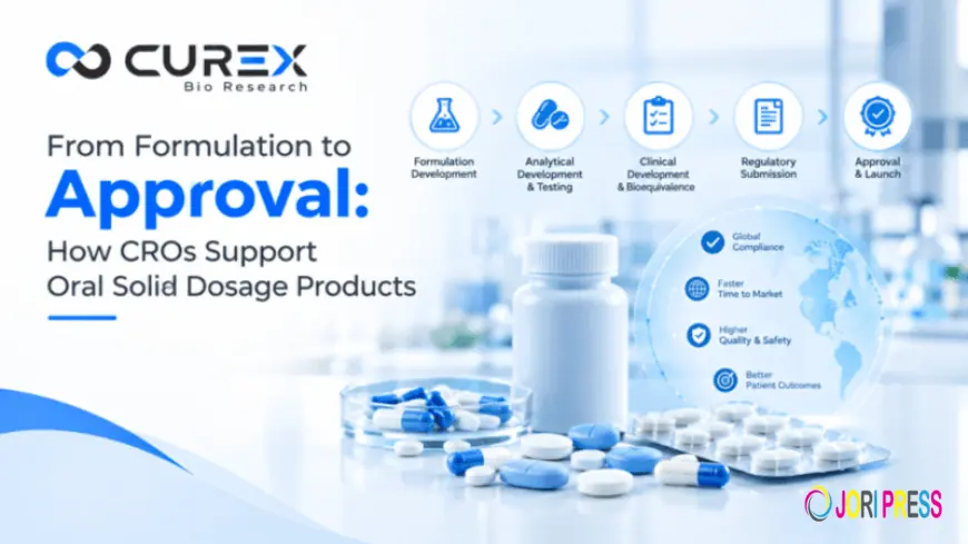 From Preclinical Studies to Clinical Development: Building an Efficient Drug Development Strategy
