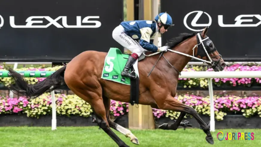 What Are Horse Racing Forecast Odds and How Do They Work?