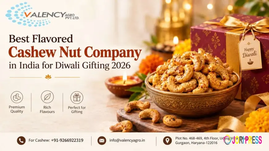 Best Flavored Cashew Nut Company in India for Diwali Gifting 2026