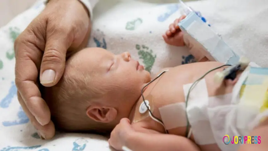 Neonatal ICU Zirakpur: Understanding Specialized Care for Newborns