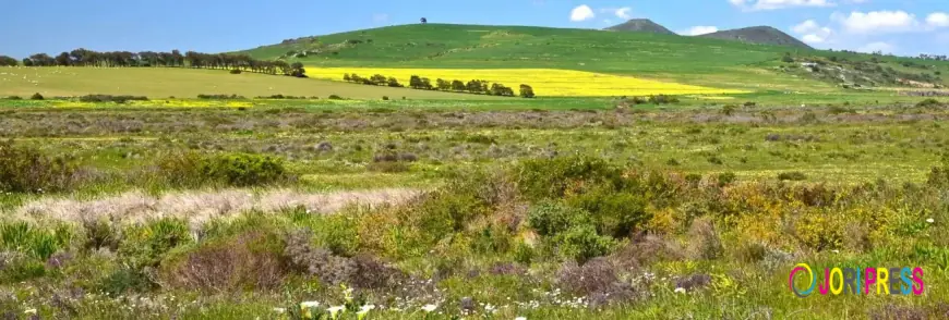 Discover Southern Africa: From Self-Drive Adventures to Safari and Beach Escapes