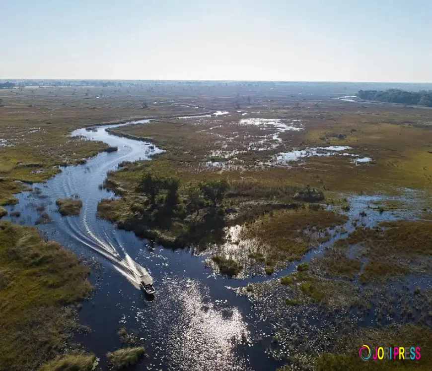 Discover Africa Through Unforgettable Safari Experiences
