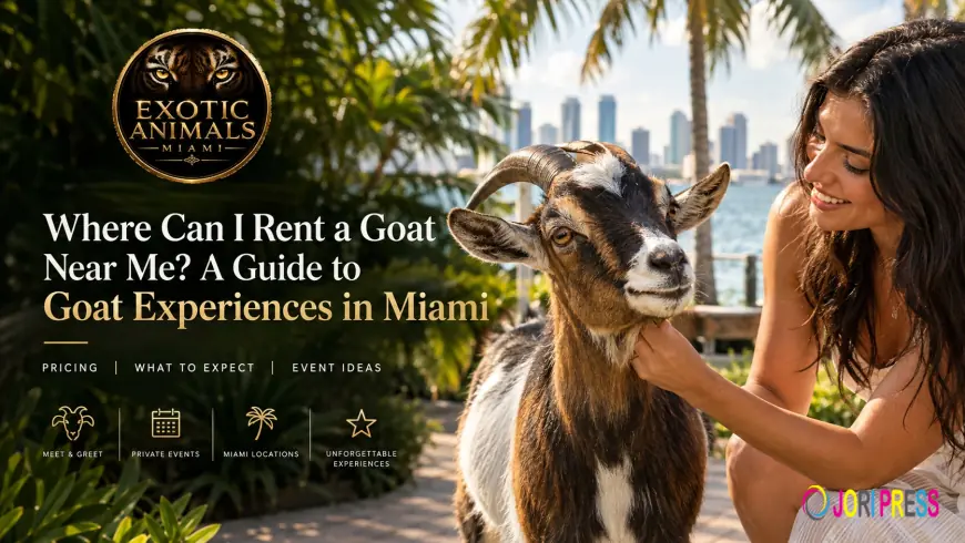 Where Can I Rent a Goat Near Me? A Guide to Goat Experiences in Miami