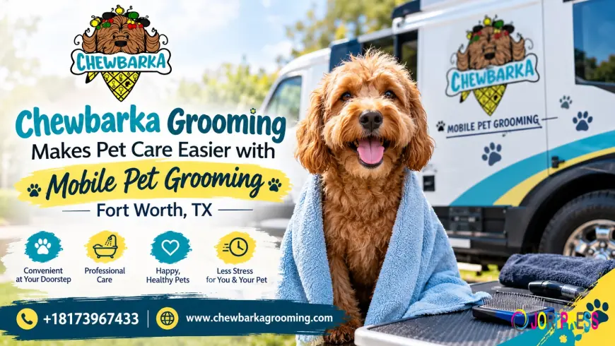 Chewbarka Grooming Focuses on Stress-Free Pet Care with Mobile Grooming in Fort Worth