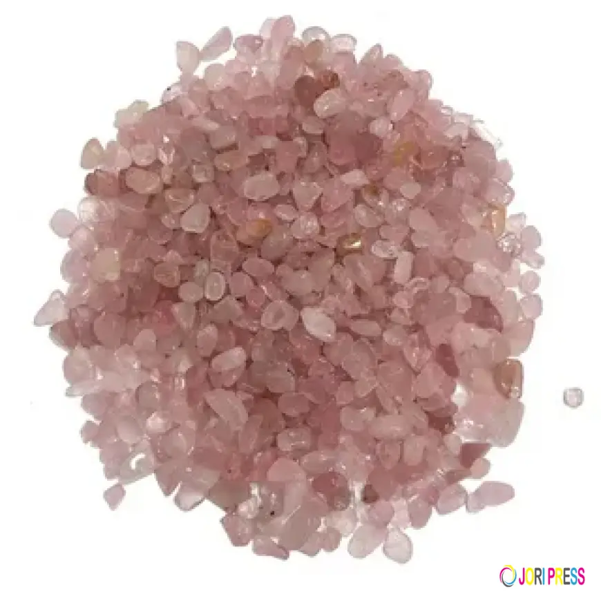Fractionated Fatty Acid Market Developments: Emerging Applications, Processing Innovations, and Industry Growth Opportunities