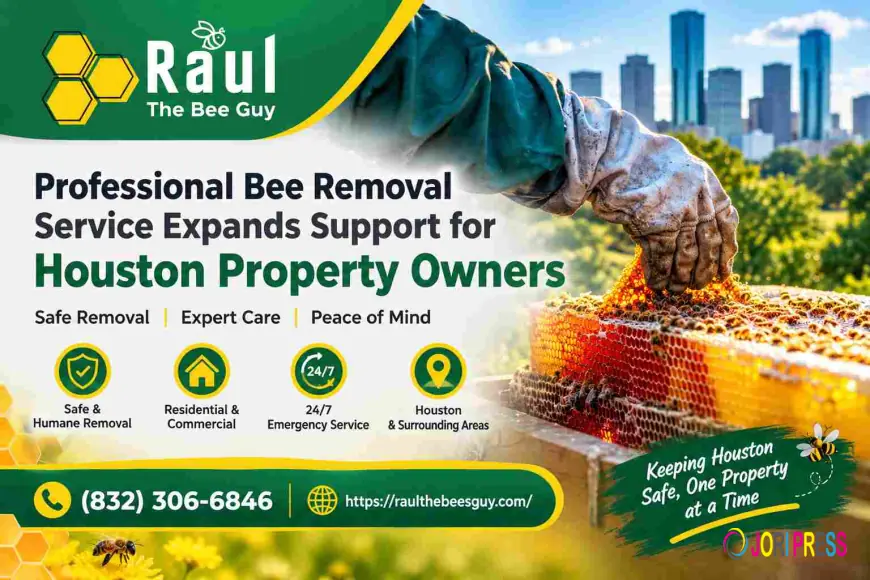 Professional Bee Removal Service Expands Support for Houston Property Owners