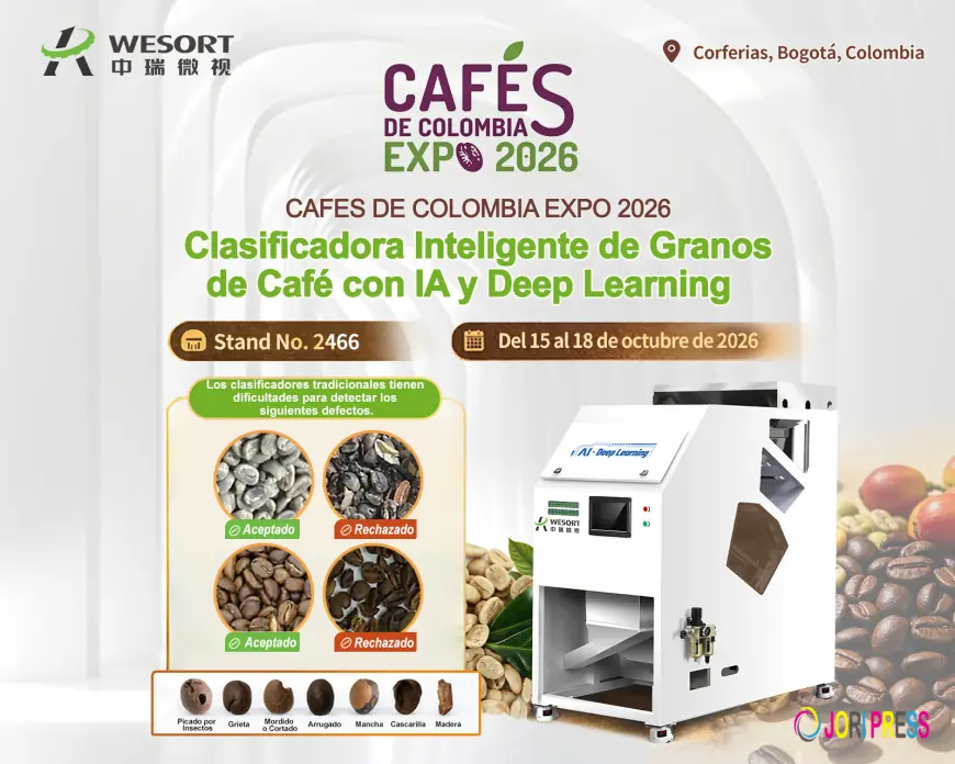 How Does a Coffee Color Sorter Improve Green Coffee Quality?
