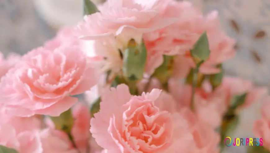 Why Online Flower Delivery Is a Convenient Way to Surprise Your Loved Ones