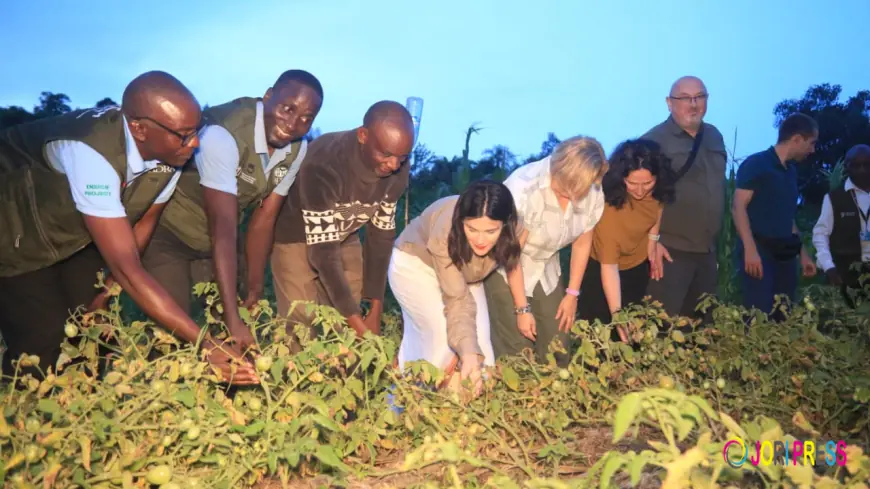 Growing Hope in Kyaka II: How ADRA’s ‘Grow Together’ Project is Transforming 500 Farmers