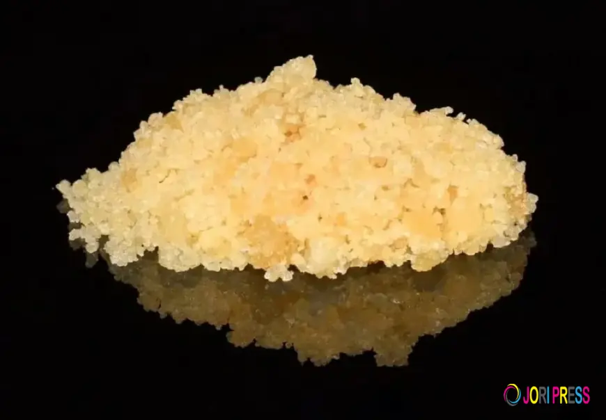Exploring the Different Types of Cannabis Caviar