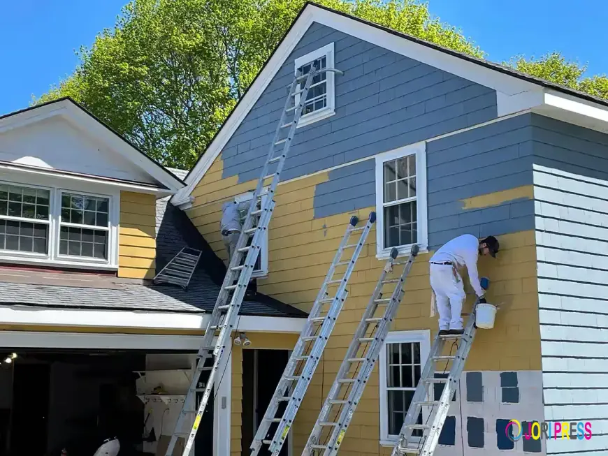 Professional Painter in Wollongong Highlights Quality Painting Solutions for Homes and Businesses