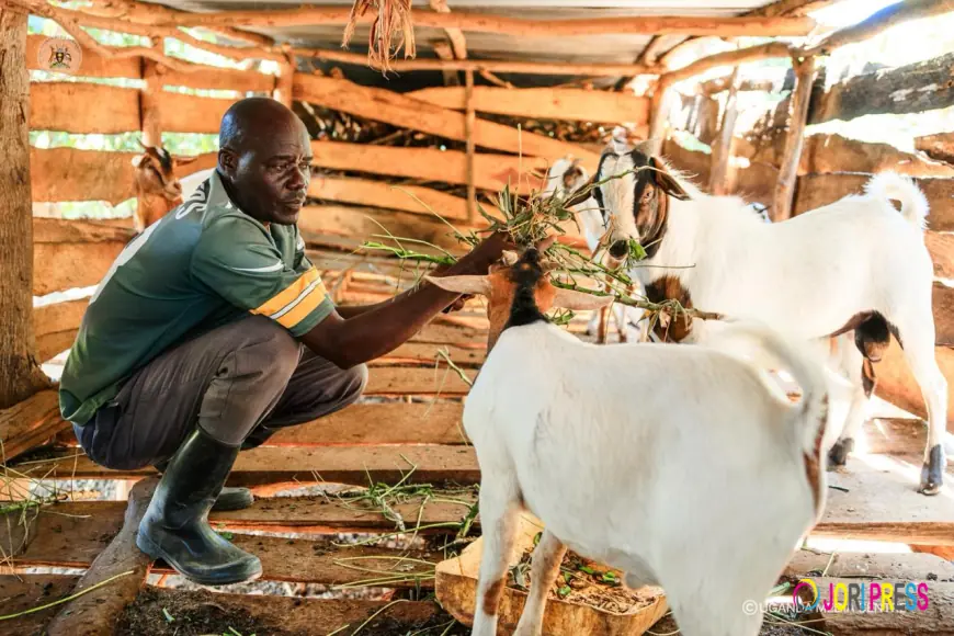 New Horizons: How Local Economic Factory and Farm Reforms Are Changing Lives in Jinja, Bugiri