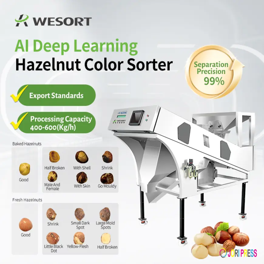 Top 8 Hazelnut Color Sorter Manufacturers to Know in 2026
