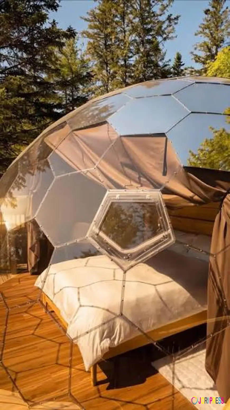 Dome Glamping vs Traditional Camping: Which Experience Is Right for You?