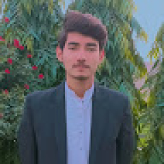 Faizan Ali