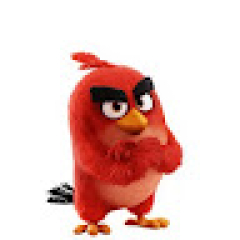 Red bird