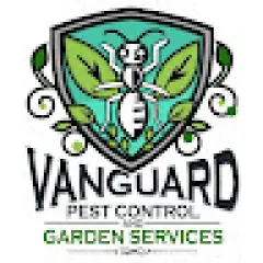 Vanguard