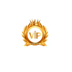 vipbookoriginal1