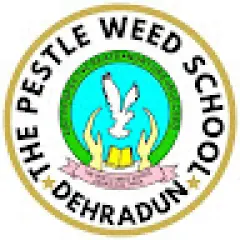 Pestle Weed School