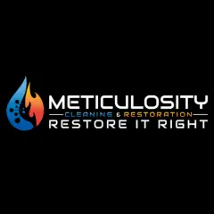 MeticulosityCleanRestoration