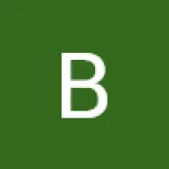 Bold Online Marketing
