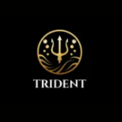 Trident Cleaning Pros