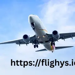 Flighys333