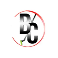 bestcarpetcleaning