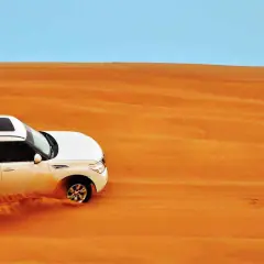 Desert Safari Abu Dhabi Trips