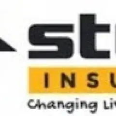 Stellrr Insulation