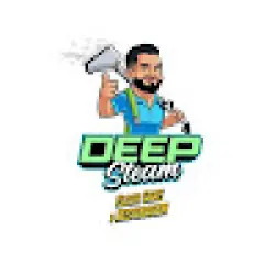 Deep steam floor care &amp; restoration