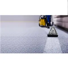 carlsbadcarpetcleaning