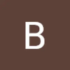 Bee Collabrative LLC