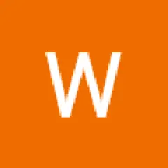 Wilsprocess