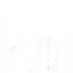 11xwinner