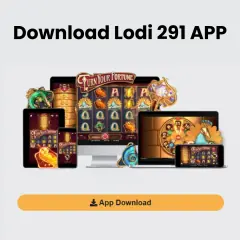lodi291app