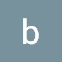 bolingbrook chimneysweep